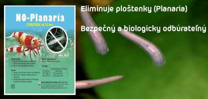 No-Planaria